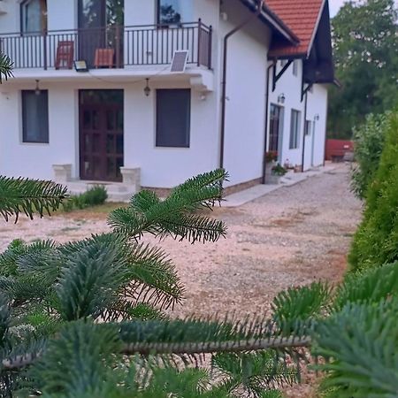 Pensiunea Cretisoara Campulung Exterior photo