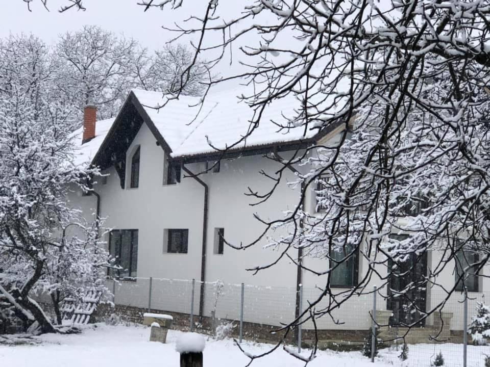 Pensiunea Cretisoara Campulung Exterior photo