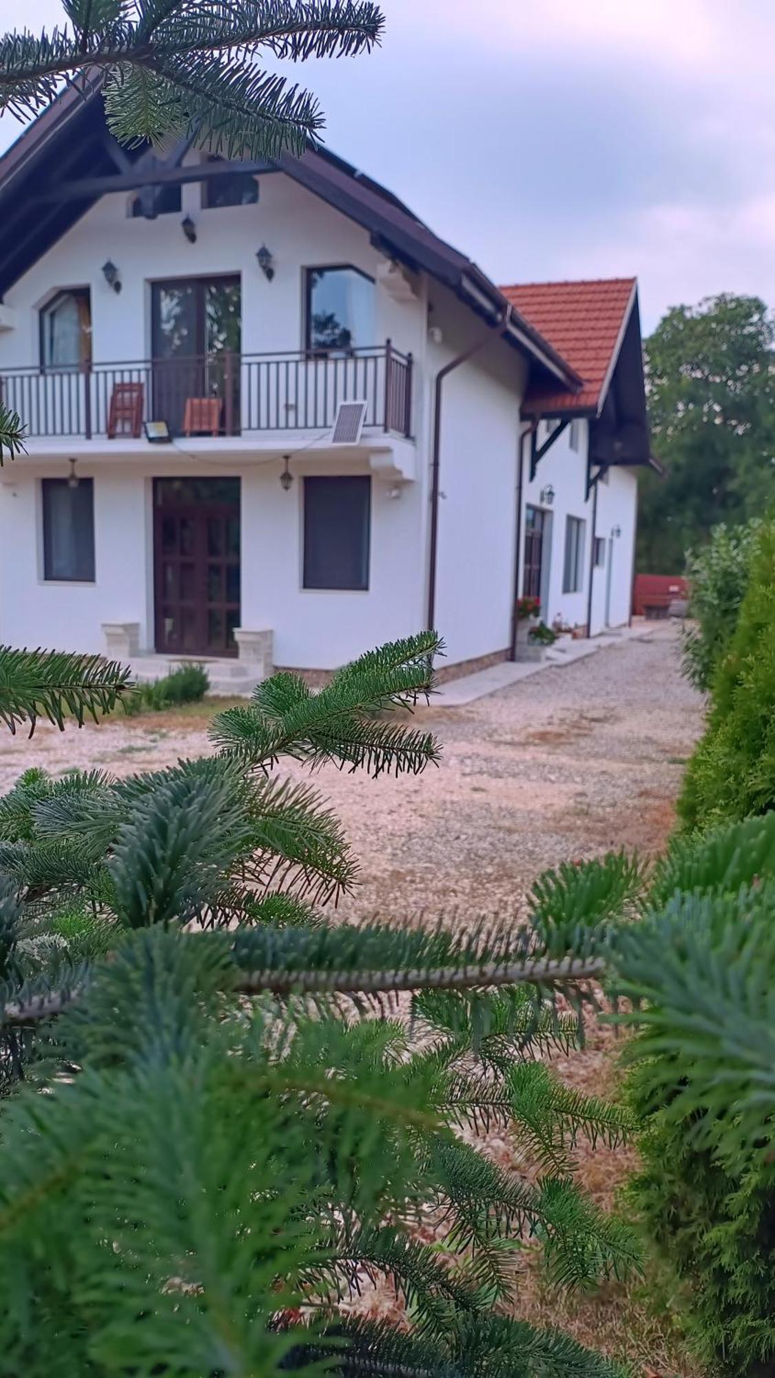 Pensiunea Cretisoara Campulung Exterior photo